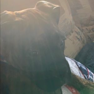 Meet your Posher, Anick